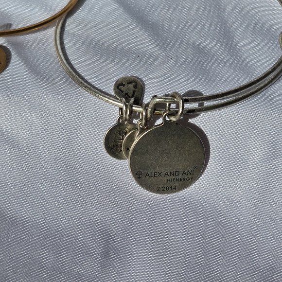 Alex & Ani Silver & Gold Tone AUNT & GODMOTHER Bracelet Mother's Day Adjustable - Picture 4 of 5